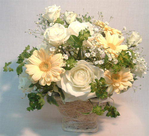 ����ԁ@���ԃA�����W/�z���C�g�o�X�P�b�g